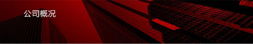 公司概況